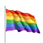 rainbow flag rainbow flag